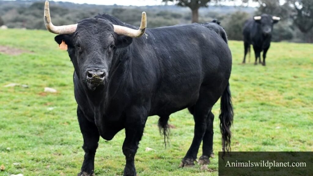 top 10 most stubborn animals