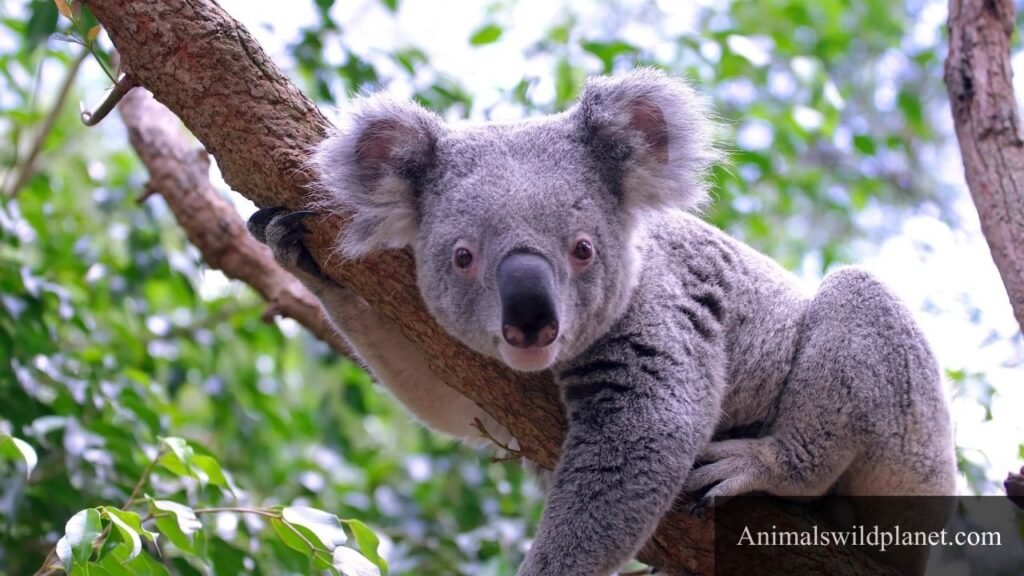 least intelligent mammal