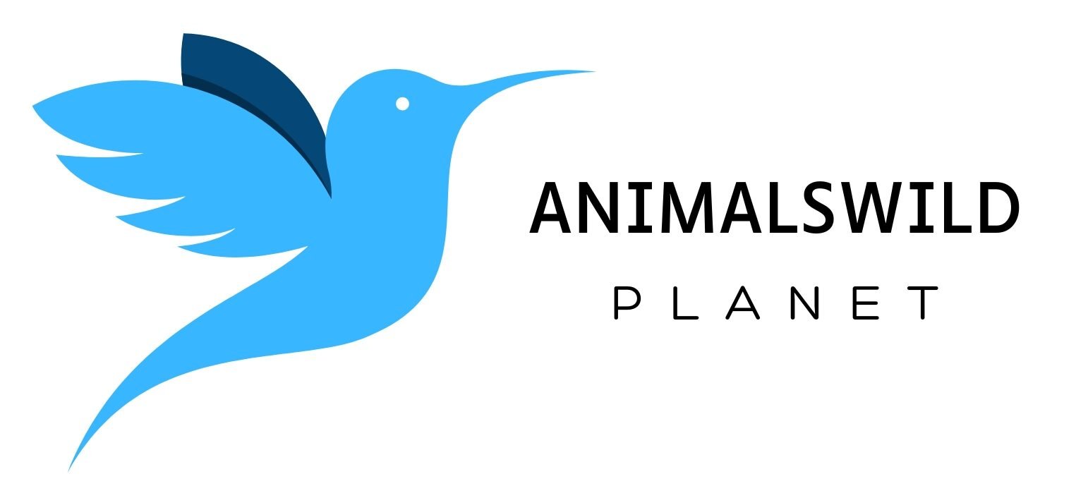 Animalswildplanet