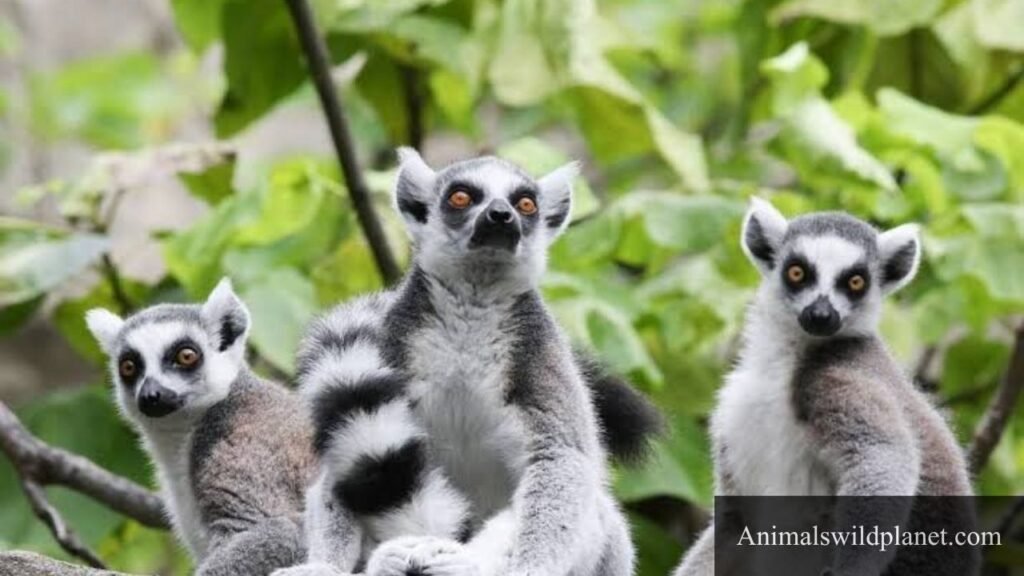 animals with flexible jaws